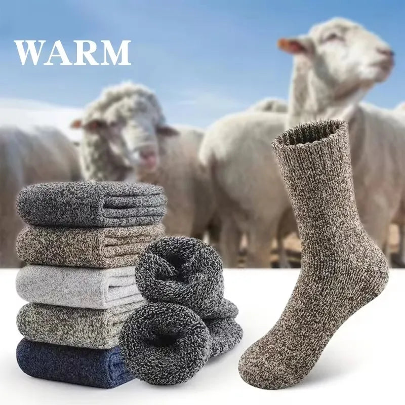 Merino-Socken 3er-Pack
